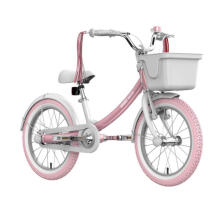 Bicicletas para niños de Ninebot 16 pulgadas Dos ruedas Bicicletas